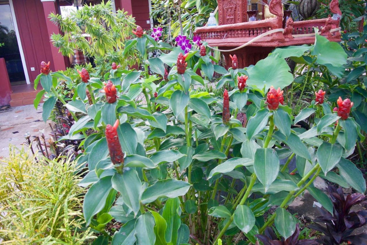 Phoumrumduol Bungalow Kampot Esterno foto