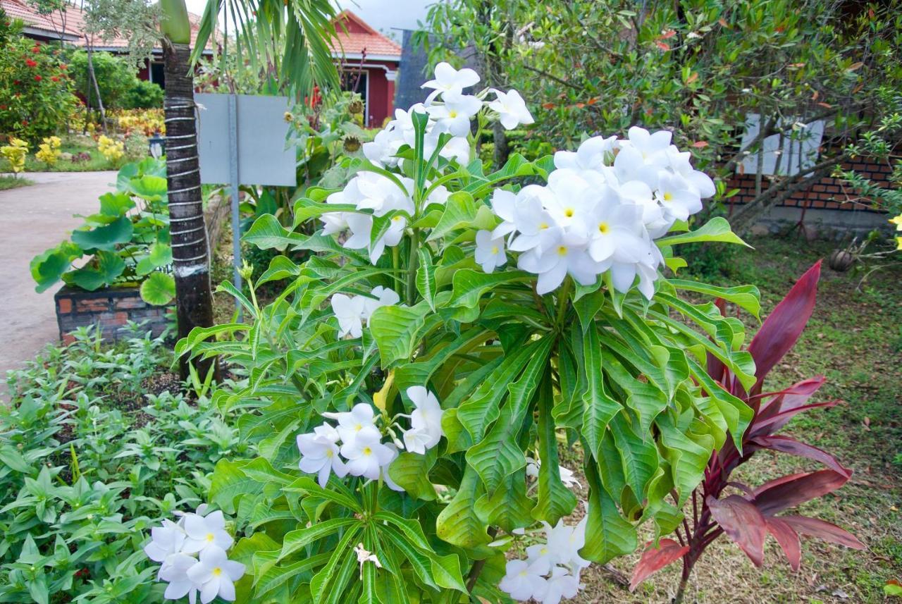 Phoumrumduol Bungalow Kampot Esterno foto