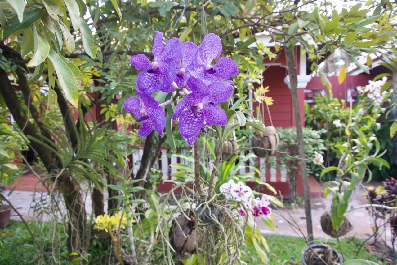 Phoumrumduol Bungalow Kampot Esterno foto